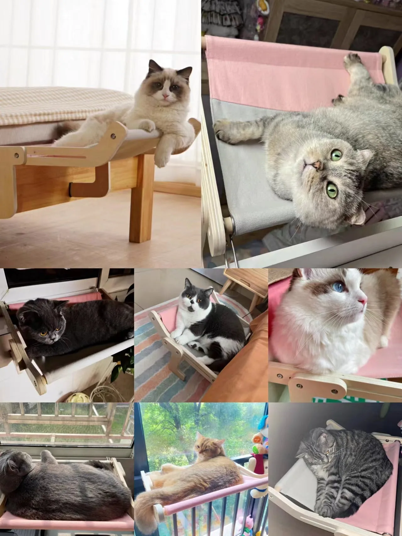 Window Sill and Bedside Lounging Perch for Cats
